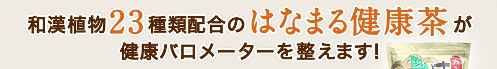 和漢植物23種類配合のはなまる健康茶が健康バロメーターを整えます!