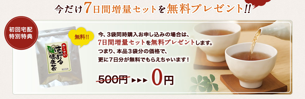 今だけ7日間増量セットを無料プレゼント!!