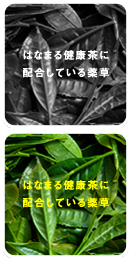 はなまる健康茶に配合している薬草